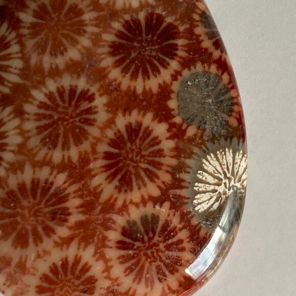 Fossil Coral Cabochon with Unique Crystalline Pattern - Picture 6 of 7